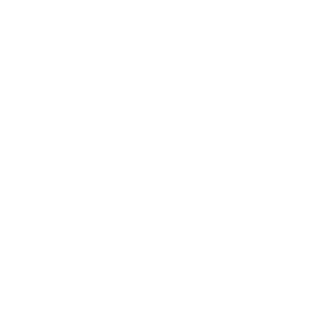 Fortune Besan